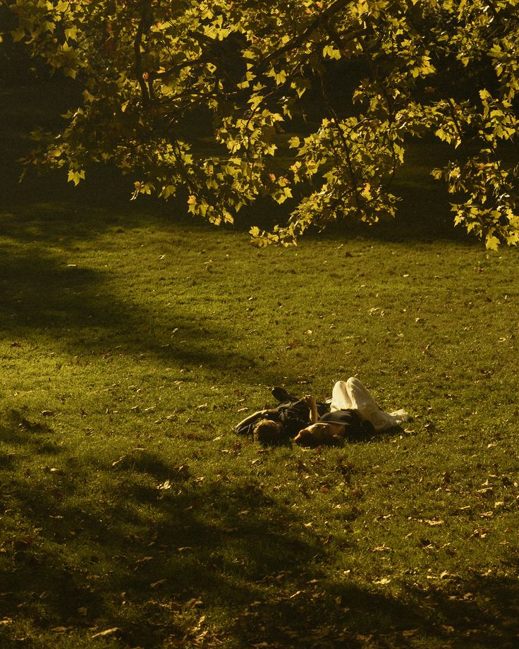 Cover of An Eternal Summer with you.